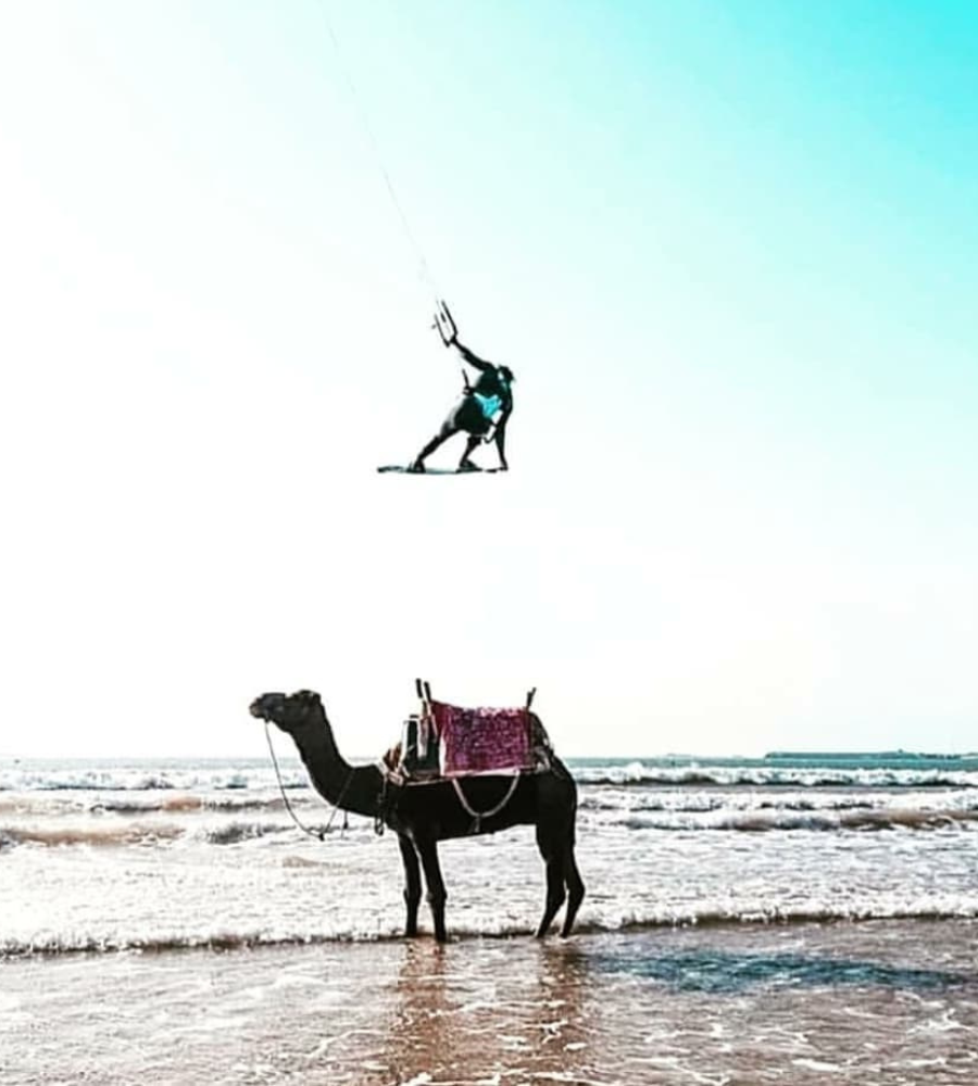 camel-ride-in-essaouira