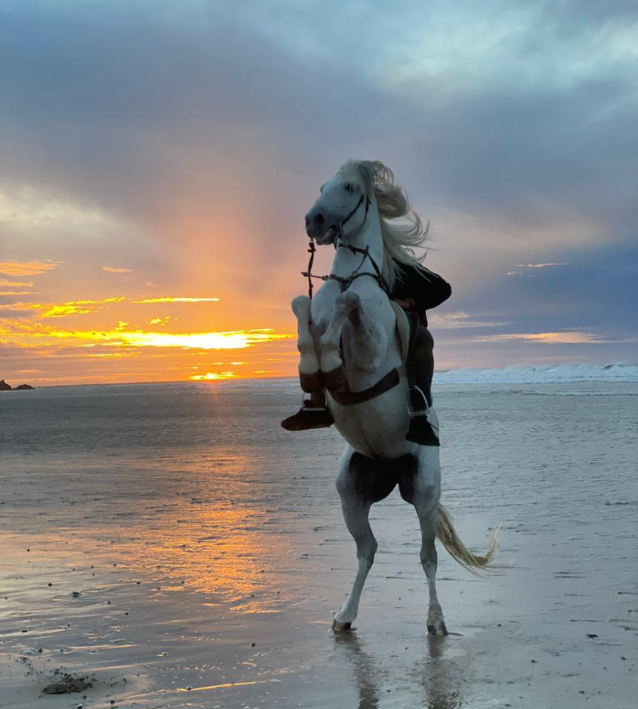 horseriding-in-essaouira (1)