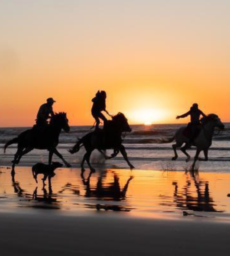 horseriding-in-essaouira (2)